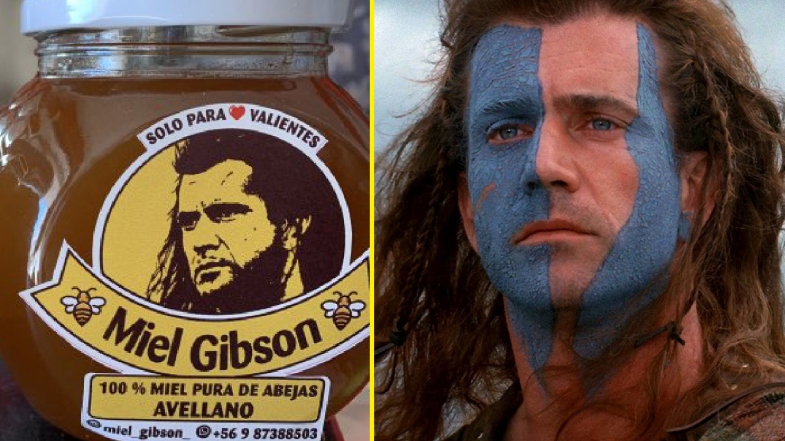 Mel Gibson, İsmini Kullanan Bal Üreticisi Kadına Dava Açtı
