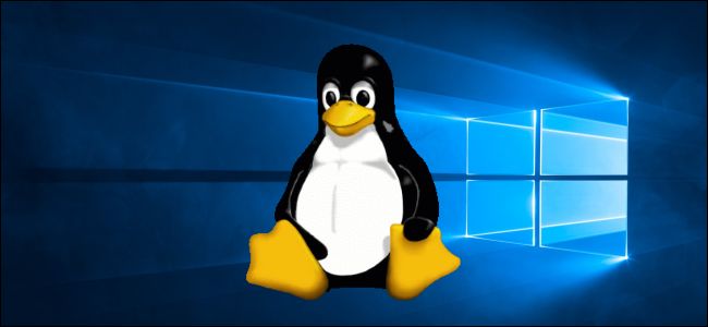 Linux GPU Hesaplama ve Daha Fazla WSL İyileştirmesi