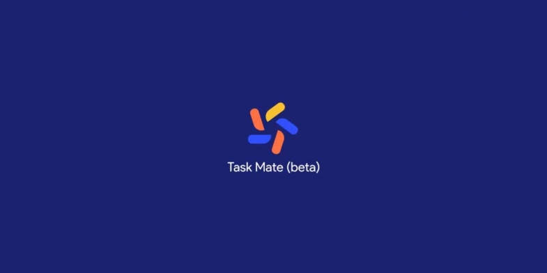 Google Task Mate, Basit Görevler Yaparak Para Kazanmanızı Sağlayacak!