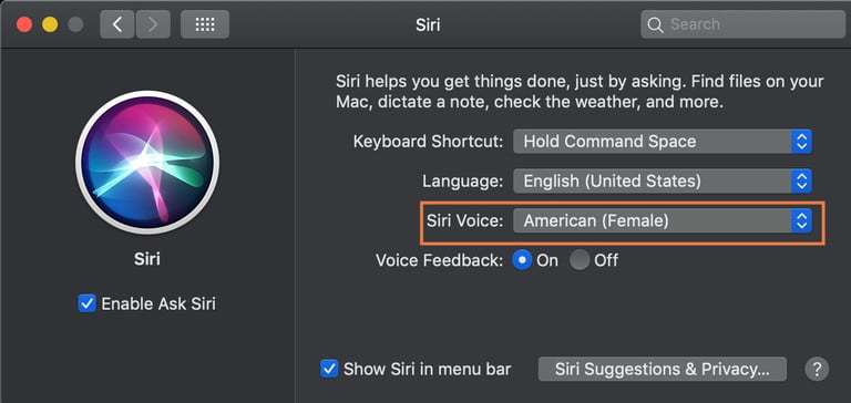 Mac'te Siri'nin sesi nasıl değiştirilir?