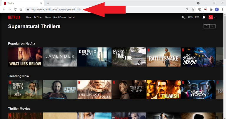Gizli Netflix Kategorilerine Göz Atın